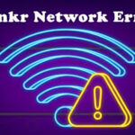 bunkr network error